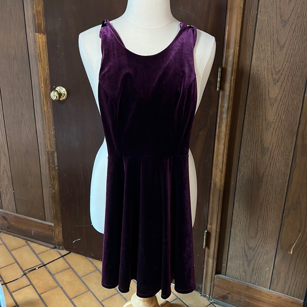 Purple Velvet Dress